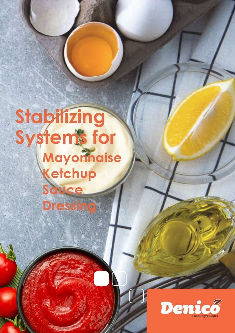 brochurer_0038_stabilizing systems for mayonnaise - en02