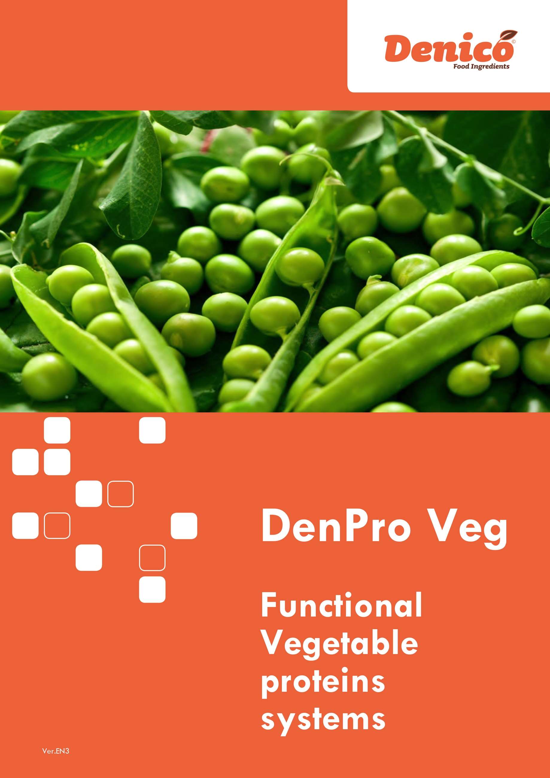 denpro-veg-series-en03_web-1